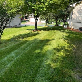 residential landscaping by CadeAndKids LLC reviewed on May 2, 2024