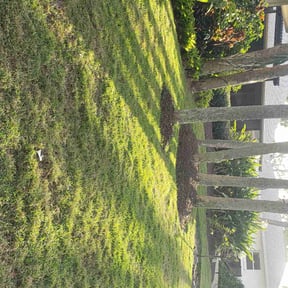 yard work by House Perfect reviewed on September 28, 2023