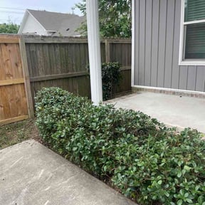 Bush Trimming by Spinelli Scenery Solutions LLC. reviewed on May 29, 2026