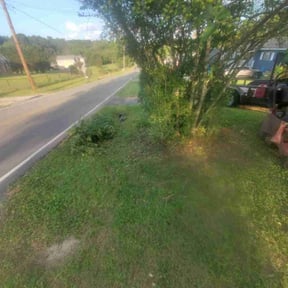 Bush Trimming by james lawn service reviewed on December 9, 2025