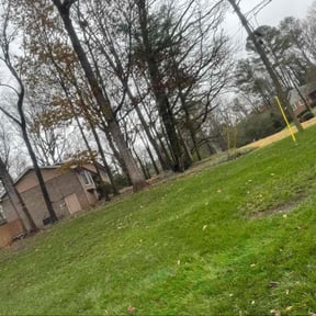 Leaf Removal by LaPriest Blocker reviewed on December 3, 2025