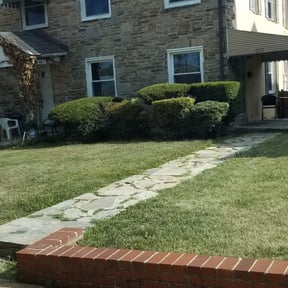 Bush Trimming by Typical Tasks reviewed on June 25, 2020