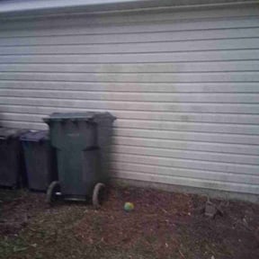 Bush Trimming by The Landscape Watch reviewed on October 22, 2025