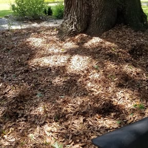Flower Bed Weeding by Greg's Landscaping reviewed on August 18, 2025