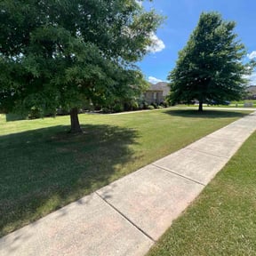 gardening service by Bandala's Landscaping and Gardening Service reviewed on April 29, 2024