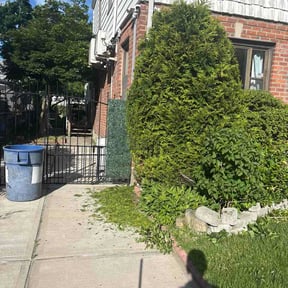 Bush Trimming by The Yard Man reviewed on June 2, 2026