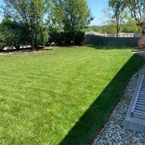 turf care by Black horse reviewed on August 8, 2025