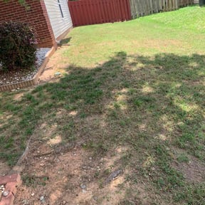 Leaf Removal by  Citrus Springs Lawn Care reviewed on September 12, 2025