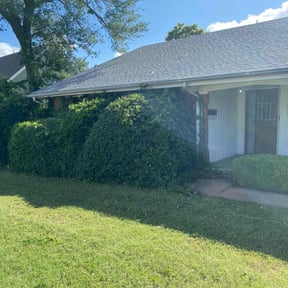Bush Trimming by Micha's Mowing Services, LLC reviewed on August 19, 2025