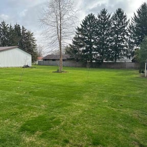 yard work by ClearCoast Lawn Solutions reviewed on November 21, 2025