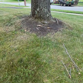 Flower Bed Weeding by Sbm reviewed on June 10, 2026