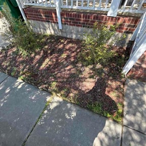 Bush Trimming by Christian Brothers Maintenance reviewed on March 31, 2026