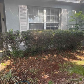 Bush Trimming by Dee lawn service reviewed on August 18, 2025