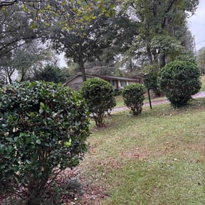 Bush Trimming by WRP Lawn Tech reviewed on November 26, 2025