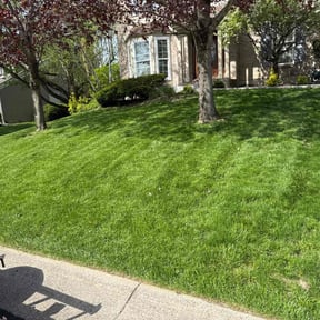 landscaping by STR Lawn and Landscape LLC reviewed on January 8, 2026
