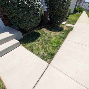 Bush Trimming by Little Man's Lawn Care reviewed on July 3, 2026