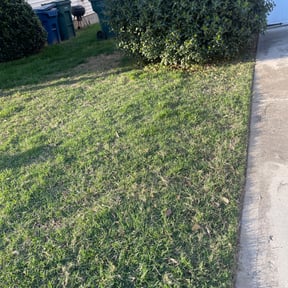 Bush Trimming by reviewed on August 17, 2025