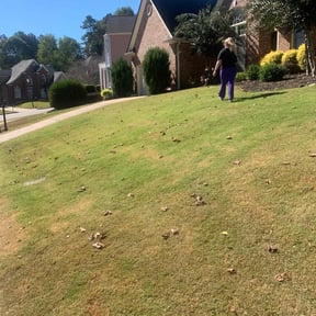 Bush Trimming by GOOD AND FAIR SERVICES LLc reviewed on November 24, 2025