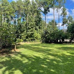 landscape maintenance by Resilient Earthworks LLC reviewed on August 18, 2025