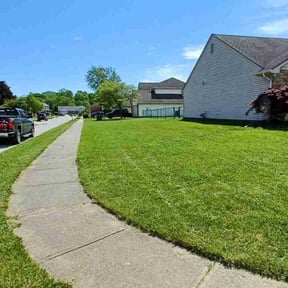 yard service by Keith Moore reviewed on May 7, 2024