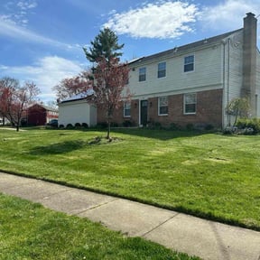 yard work by Lawn and Landscaping reviewed on September 19, 2025