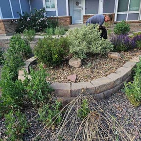 Bush Trimming by Ortega landscaping llc reviewed on June 5, 2026