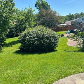 landscaping services by Rocky Property LawnCare LLC reviewed on August 16, 2025