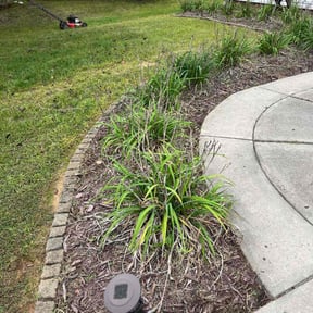 Flower Bed Weeding by BKTS reviewed on November 6, 2025