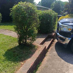 Bush Trimming by Mowing and landscaping reviewed on July 5, 2026