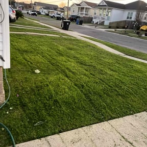grass cutting by Emerald Landscaping reviewed on August 21, 2025
