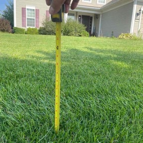 yard care by Joseph Fullner reviewed on August 20, 2025