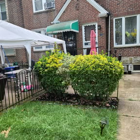 Bush Trimming by Caesar’s Premier Landscaping reviewed on August 20, 2025