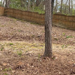 Leaf Removal by J &amp; J Landscaping reviewed on September 30, 2025