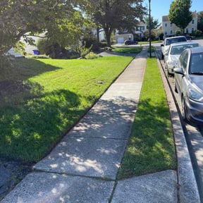gardening service by EV Great Valley Landscaping,LLC. reviewed on August 13, 2025