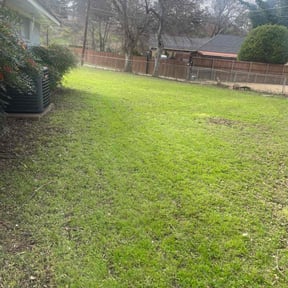 Leaf Removal by Shop Marabou reviewed on January 22, 2026