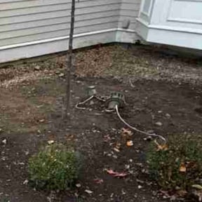 Flower Bed Weeding by Advance Cutter Lawn Maintenance reviewed on November 22, 2025