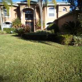 Bush Trimming by Gdt lawncare reviewed on August 16, 2025