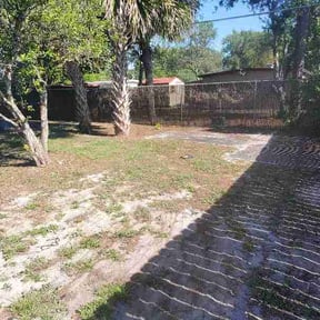 Leaf Removal by Edge Lawn and Landscape reviewed on June 21, 2026