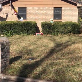 Bush Trimming by C and C Lawns reviewed on November 27, 2025