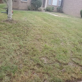 Leaf Removal by One Kool Kat Lawn Care reviewed on September 11, 2026