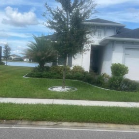 landscaping by Mowtivated Landscaping reviewed on November 18, 2025