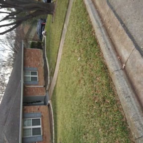 Leaf Removal by Abel Baeza reviewed on July 7, 2022