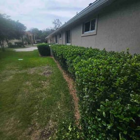 Bush Trimming by JR’s Lawn Care reviewed on April 17, 2026