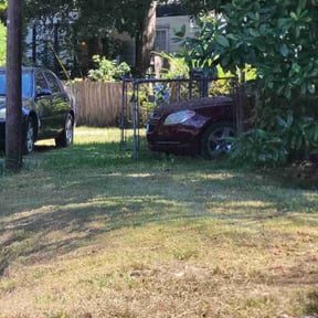 Leaf Removal by Sunshive Landscape reviewed on September 14, 2025