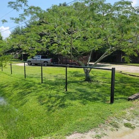 lawn care by Mower with a Mustang reviewed on June 5, 2025