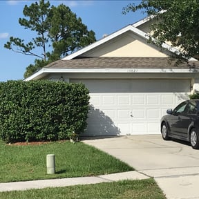 Bush Trimming by Ancient Springs Cleaning Services reviewed on May 4, 2024