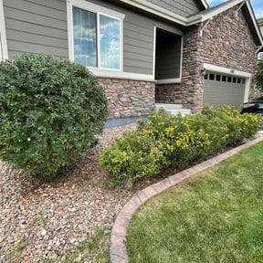 Bush Trimming by House of Beauty Lawn Care reviewed on August 15, 2025