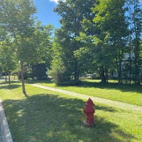 yard maintenance by Aries Lawn Care, LLC reviewed on August 13, 2025