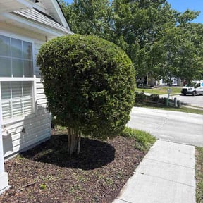 Bush Trimming by Dem Mowers reviewed on July 22, 2026
