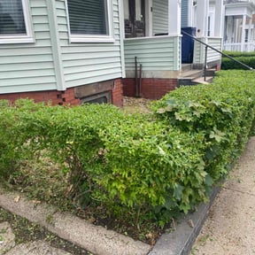 Bush Trimming by S & G Landscaping, Inc. reviewed on August 20, 2025